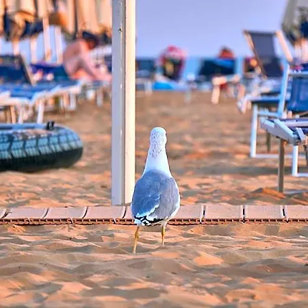 Welcoming Flat Only 100m From The Sea In Hotel Bibione